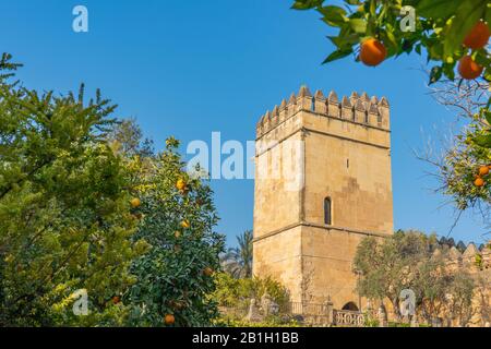 Medieval tower of the Palace Fortress of the Alcazar de los Reyes Cristianos, Cordoba, Andalusia, Spain. With selective focus Stock Photo