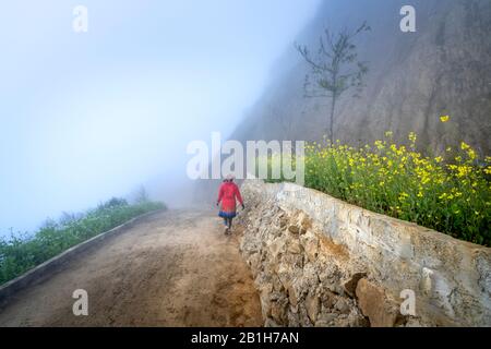 Ta Xua, Son La province, Vietnam - January 22, 2020: The H'mong ethnic woman walking on the village road in fog in Ta Xua, Son La province, Vietnam Stock Photo