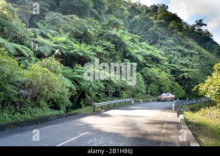 Ho Chi Minh Road, Thua Thien Hue Province, Vietnam - February 8, 2020: This section of Ho Chi Minh Road passes through the primeval old forest in the Stock Photo