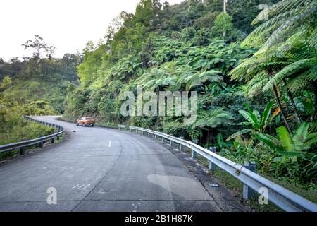 Ho Chi Minh Road, Thua Thien Hue Province, Vietnam - February 8, 2020: This section of Ho Chi Minh Road passes through the primeval old forest in the Stock Photo