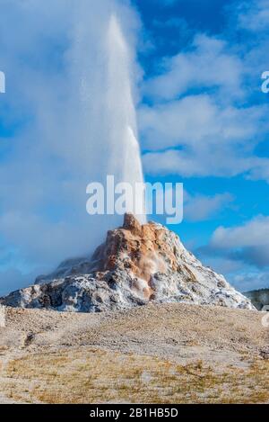 Geyser erupting shooting a jet of hot steamy water into the sky. Stock Photo