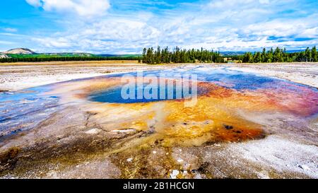The Turquoise colored water of Opal Pool Geyser in Yellowstone National Park, Wyoming, United Sates Stock Photo