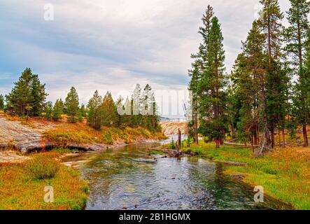 Slow running river cuts through green grassy valley with tall pine trees under a cloudy sky. Stock Photo