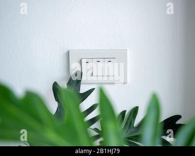 Three white light switches on white concrete wall with blurred green tropical palm leaves on foreground, minimal style. Stock Photo