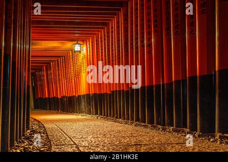 Night view of the famous tunnel of torii gates at Fushimi Inari shrine ...