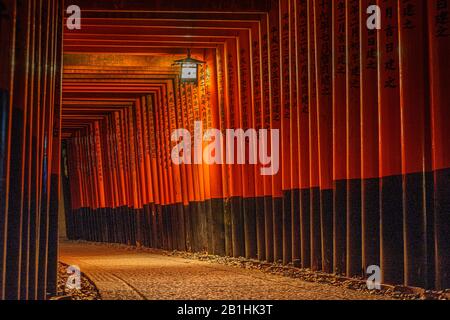 Night view at tunnel of torii gates at Fushimi Inari shrine in Kyoto ...