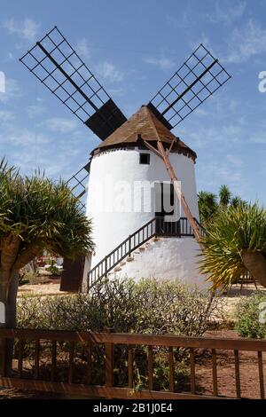 Traditional spanish windmill Molino de Antigua in Fuerteventura, Canary Islands Stock Photo