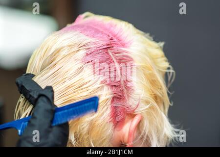 Hairdresser applies pink dye on woman's hair in beauty salon. Stock Photo