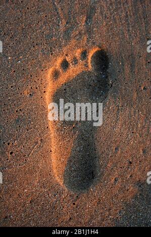 fotostep in the sand Stock Photo