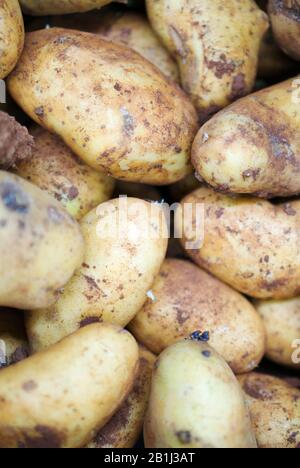 Close-up view of organic potatoes in supermarket. Stock Photo