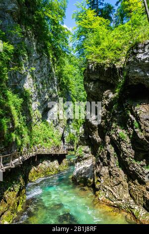 Landscape in Vintgar Gorge (Soteska Vintgar) near Bled town in Slovenia, with the wooden walkway and unidentifiable figures of people. Carved by the R Stock Photo
