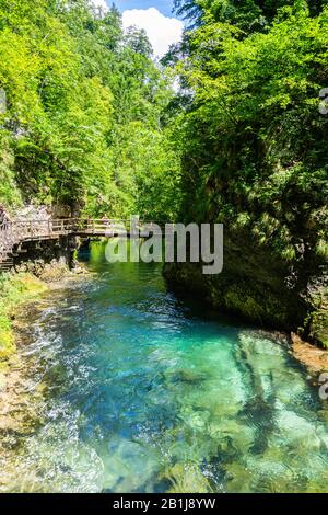 Landscape in Vintgar Gorge (Soteska Vintgar) near Bled town in Slovenia, with the wooden walkway and unidentifiable figures of people. Carved by the R Stock Photo