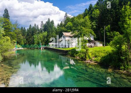 Landscape in Vintgar Gorge (Soteska Vintgar) near Bled town in Slovenia, near the hydroelectric dam built across the Radovna River. Stock Photo