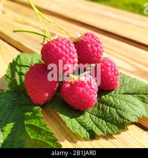 Raspberry lying on green leaves on wooden background Stock Photo