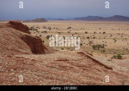 Fossil dunes and red sand dunes landscape next to Namib-desert-lodge in Namib-Naukluft national park of Namib desert , close to Sossusvlei in Namibia Stock Photo