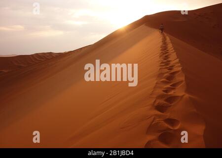 Sossusvlei red sand dune desert in Namibia - man / tourist walking or hiking up the mountain to the peak of a sand dune leaving a path with footprint Stock Photo