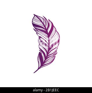 Violet gradient design print feather vector illustration Stock Vector