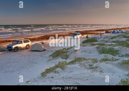 Camping on beach, covered with seaweeds, Gulf of Mexico, Mustang Island State Park, Gulf Coast, Texas, USA Stock Photo