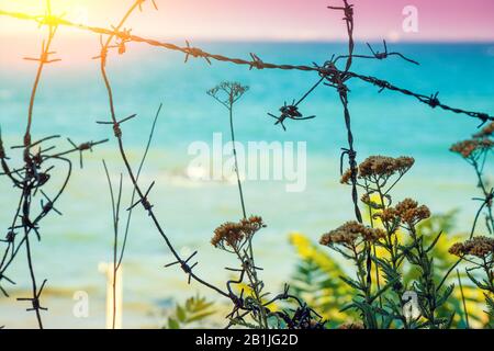 Barbed wire against beautiful beach on a sunny day Stock Photo