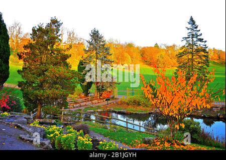 The Japanese Garden in Avenham Park at sunset in autumn Stock Photo