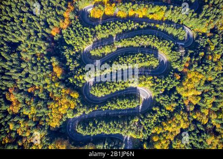 Aerial view of a winding mountain road passing through a fir trees forest. Autumn colors Stock Photo