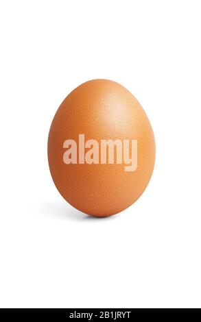 Closeup vertical standing brown chicken egg isolated on white background with shadow Stock Photo