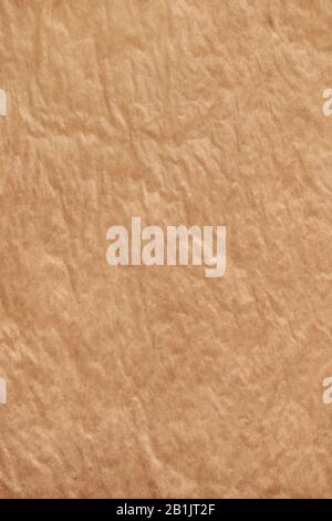 Vertically oriented crumpled baking paper with smooth curves. Abstract culinary cooking texture background Stock Photo