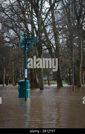 CARDIFF, WALES, February 17th 2020. Storm Dennis floods Bute Park along with many other rivers throughout Wales. Stock Photo