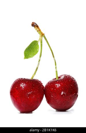 Cherries isolated on white background Stock Photo