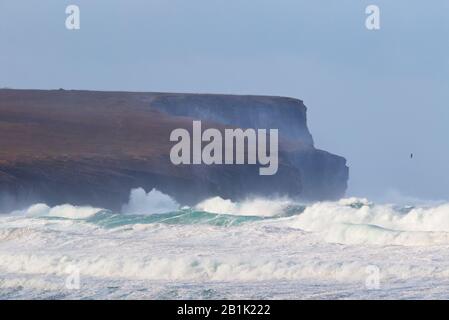 Stormy seas at Birsay, Orkney Isles Stock Photo