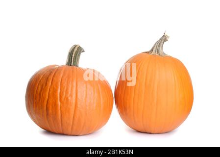 two pumpkins on white background Stock Photo