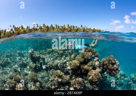 Snorkeling at French Polynesia, Apataki Atoll, Tuamotu Archipel, French Polynesia Stock Photo