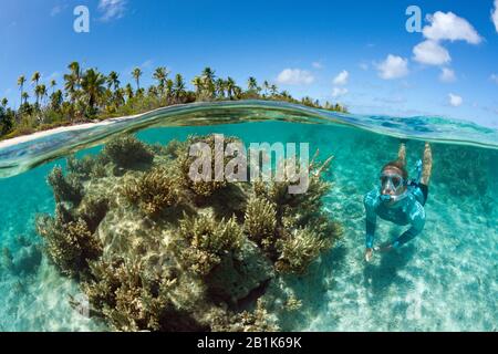 Snorkeling at French Polynesia, Apataki Atoll, Tuamotu Archipel, French Polynesia Stock Photo