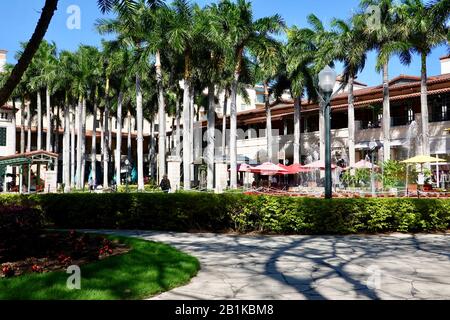 Shoppers walk casually through the stand of palm trees in the open air, outdoor mall at Shops of Merrick Park, Coral Gables, Miami, Florida, USA. Stock Photo