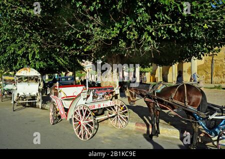Meknes, Morocco - November 19th 2014: Unidentified people and rich decorated horse drawn coaches Stock Photo