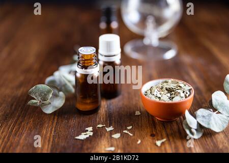 bottle of eucalyptus essential oil with eucalyptus for infusion Stock Photo