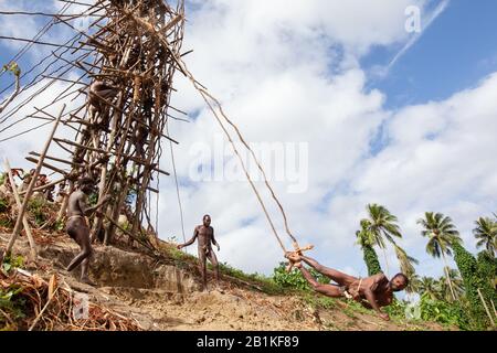 Pentecost pentercost island Vanuatu - 2019: Traditional Melanesian Nagol land diving ceremony (Men jumping with vines from wooden towers). Initiation. Stock Photo