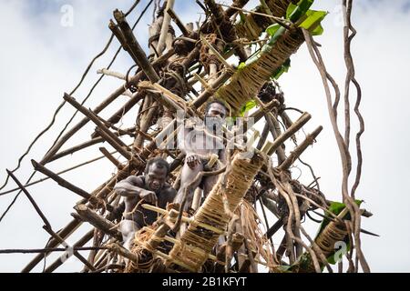 Pentecost pentercost island Vanuatu - 2019: Traditional Melanesian Nagol land diving ceremony (Men jumping with vines from wooden towers). Initiation. Stock Photo