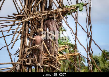 Pentecost pentercost island Vanuatu - 2019: Traditional Melanesian Nagol land diving ceremony (Men jumping with vines from wooden towers). Initiation. Stock Photo