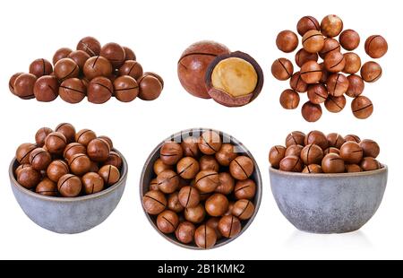 set of macadam nuts with clipping path on a white isolated background Stock Photo