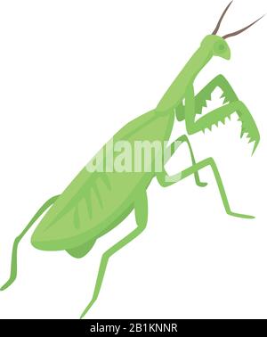 Female mantis icon, isometric style Stock Vector