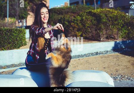 woman trainig dog on park with copy space for text Stock Photo