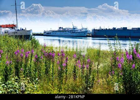 Port Baikal, Russia - July 17, 2019: Summer landscape with mountains, purple flowers Ivan Chai and ship on lake Baikal. Circum-Baikal Railway, Siberia Stock Photo