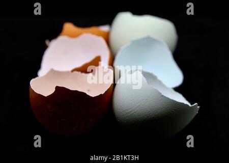 Three brown and three blue broken eggshells Stock Photo
