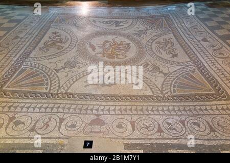 Cupid and a Dolphin mosaic / mosaics in fabulous condition, in a roman villa room. Fishbourne Roman Palace. Fishbourne, Chichester in West Sussex. UK. (114) Stock Photo