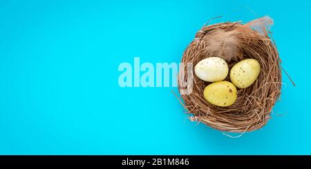 Yellow quail eggs in a nest on a turquoise background. Greeting card with text space, mockup. Decoration on Easter Stock Photo