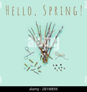 Branches with kidneys, scissors on a light background. Easter spring flat lay concept. Stock Photo