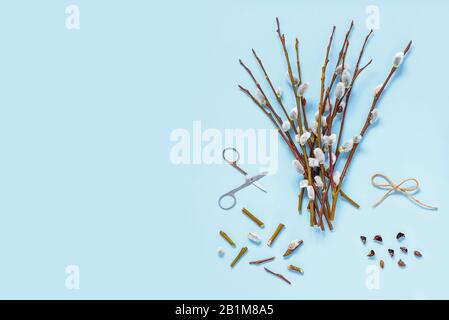Branches with kidneys, scissors on a light background. Easter spring flat lay concept. Stock Photo
