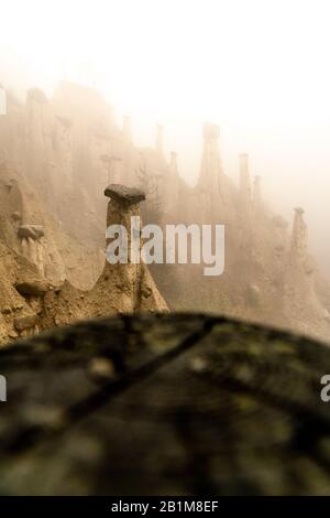 Rock pinnacles of the Earth Pyramids emerging from fog, Perca/Percha, province of Bolzano, South Tyrol, Italy