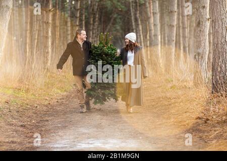 Happy man and woman in warm clothes carrying Christmas fir tree together walking on path in woods and looking at each other Stock Photo